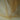 Tüll – Goldbeige