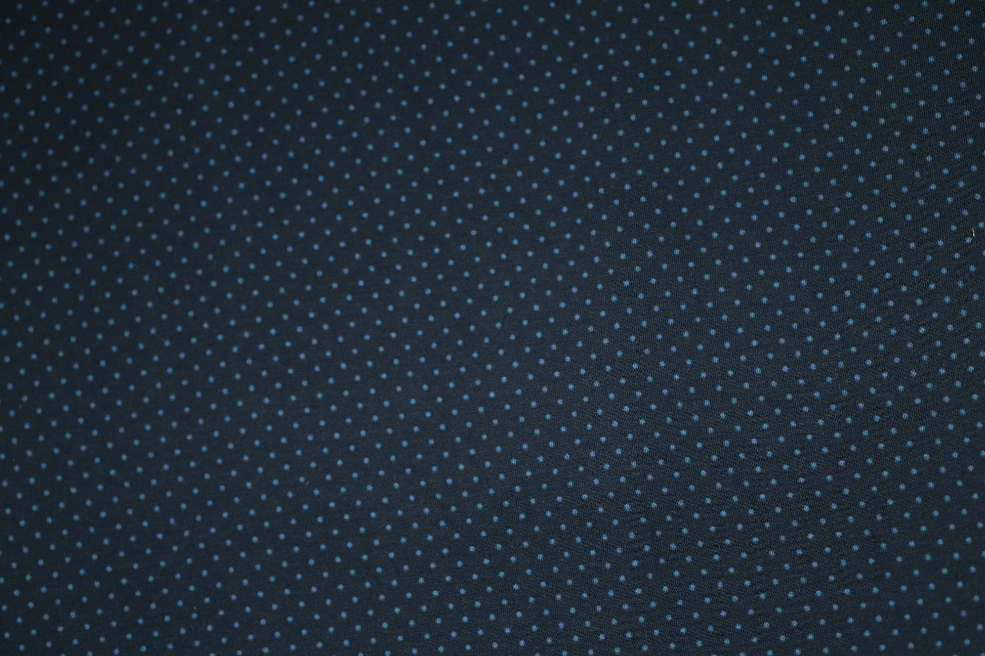 Baumwollstoff mit Motiv: marineblau mit feinen punkten – weich & kindgerecht.