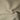 Wollstoff – Sand